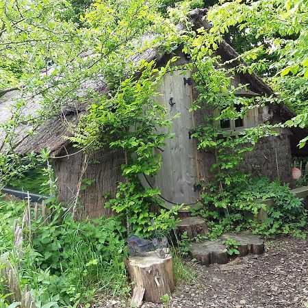 Cabane D'Augustin Saint-Augustin  Екстериор снимка