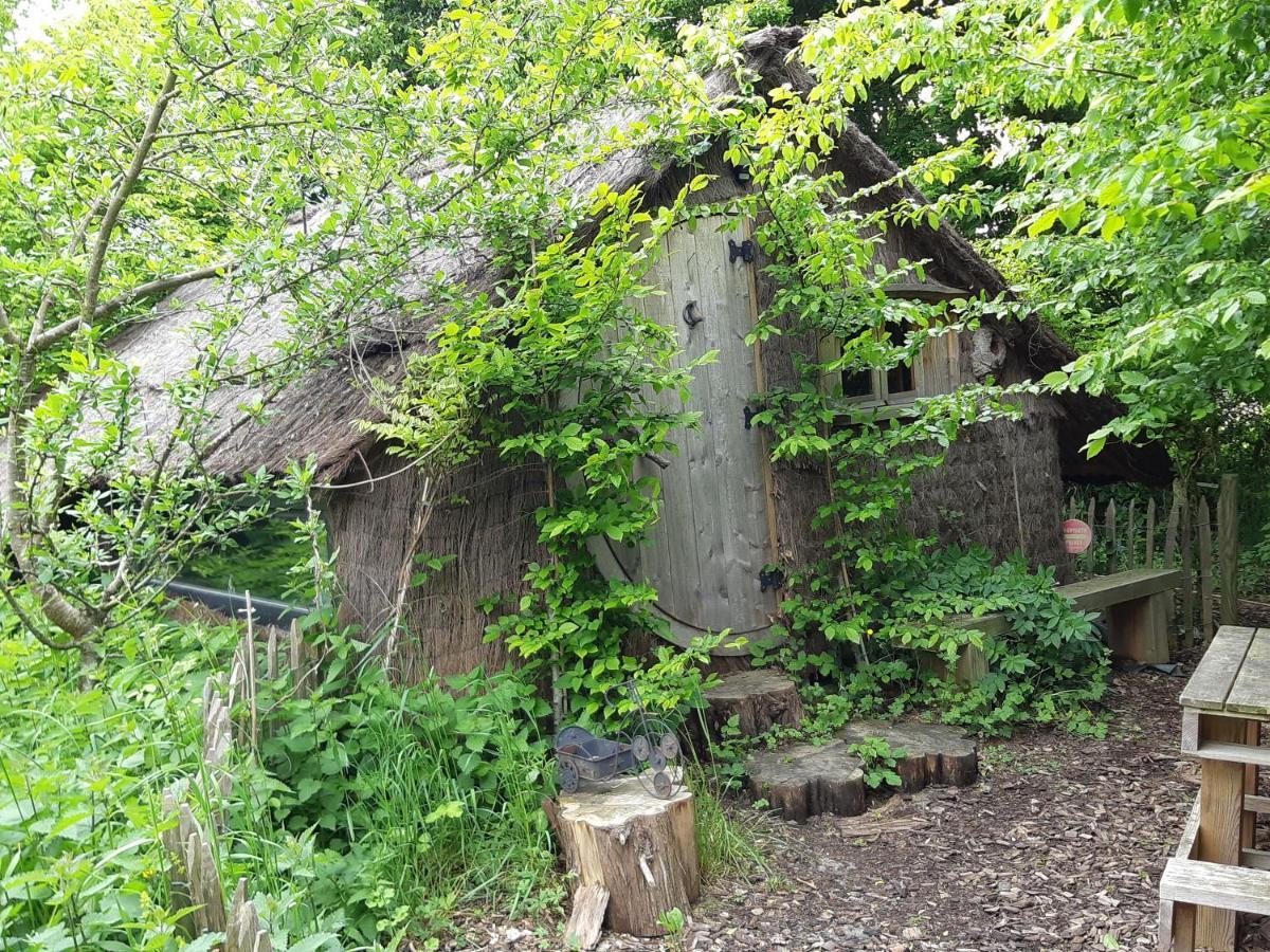 Cabane D'Augustin Saint-Augustin  Екстериор снимка